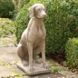 Preview: Viszla Wischler Jagdhund - Large Hunting Dog